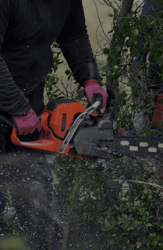 有限会社俣木造園