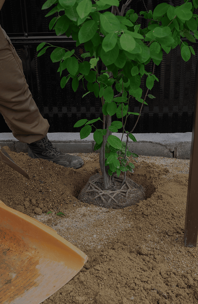 有限会社俣木造園